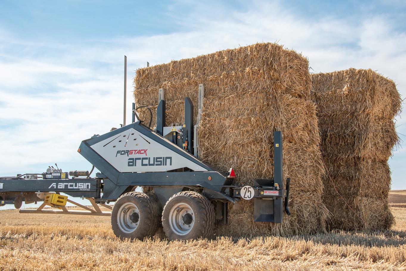 Ограничитель